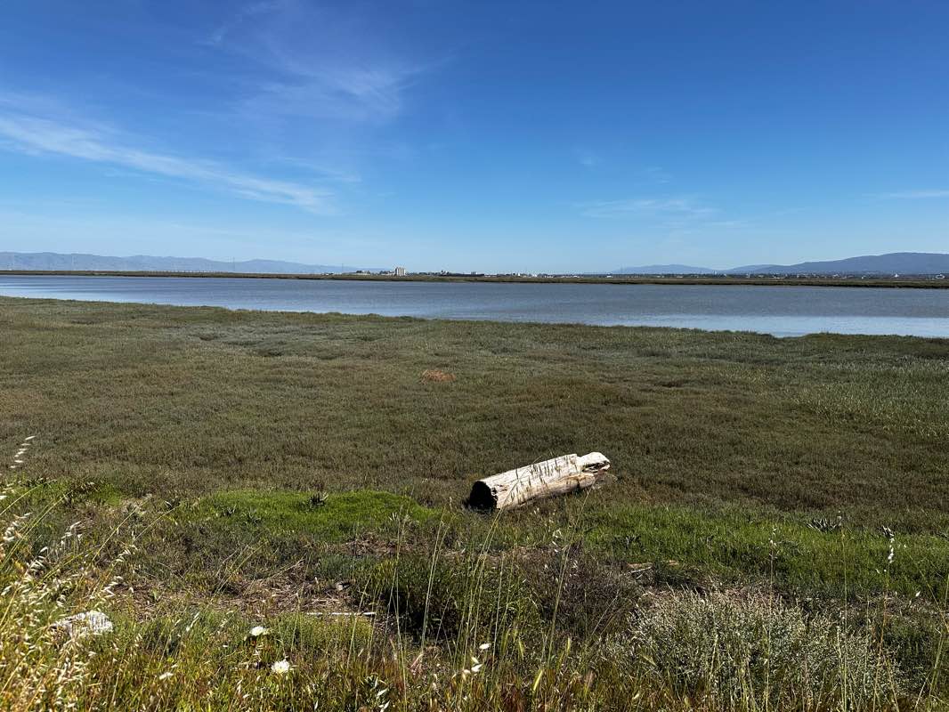 walking near me in Mariner Park in winter