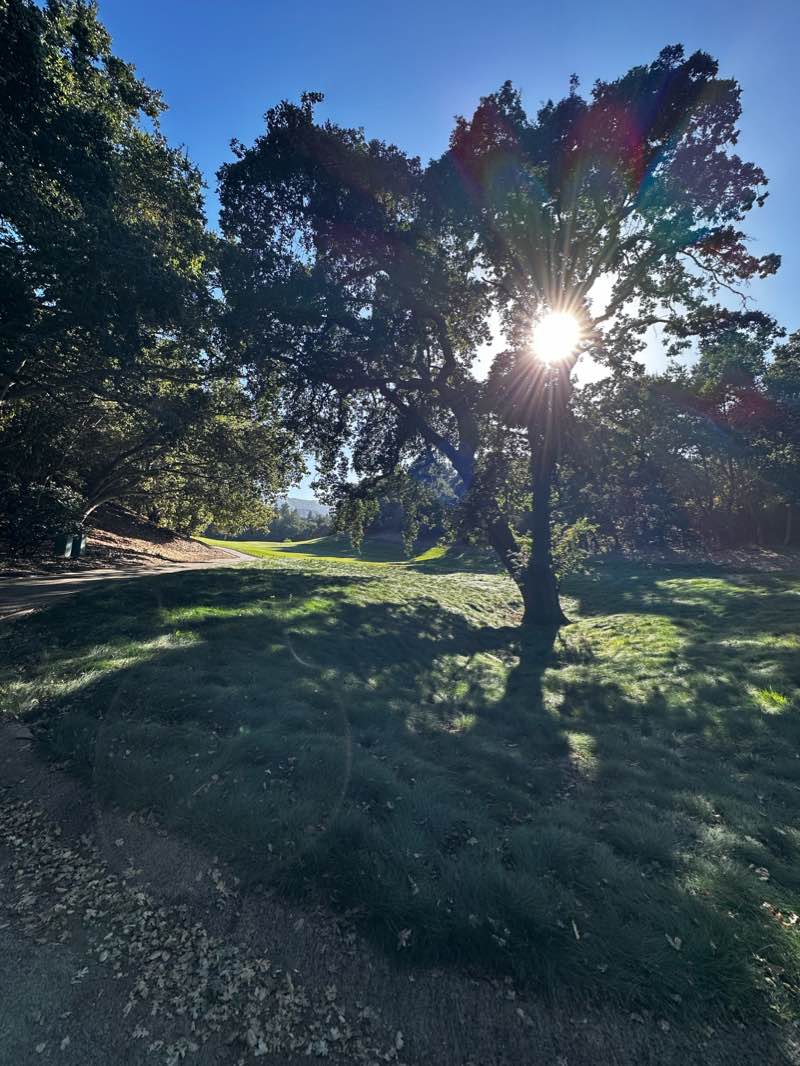 walking near me in Heritage Oaks Park in winter