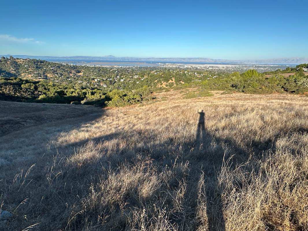 walking near me in Edgewood Park and Nature Preserve in winter