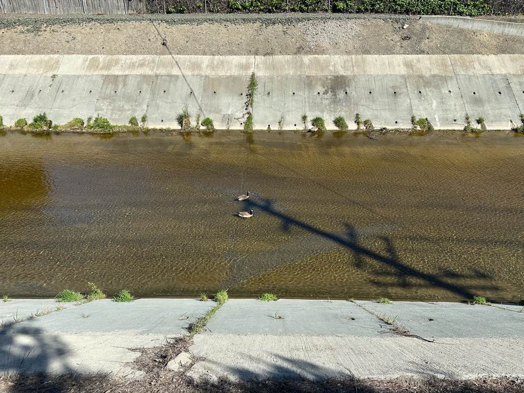 walking near me in Creekside Park in winter