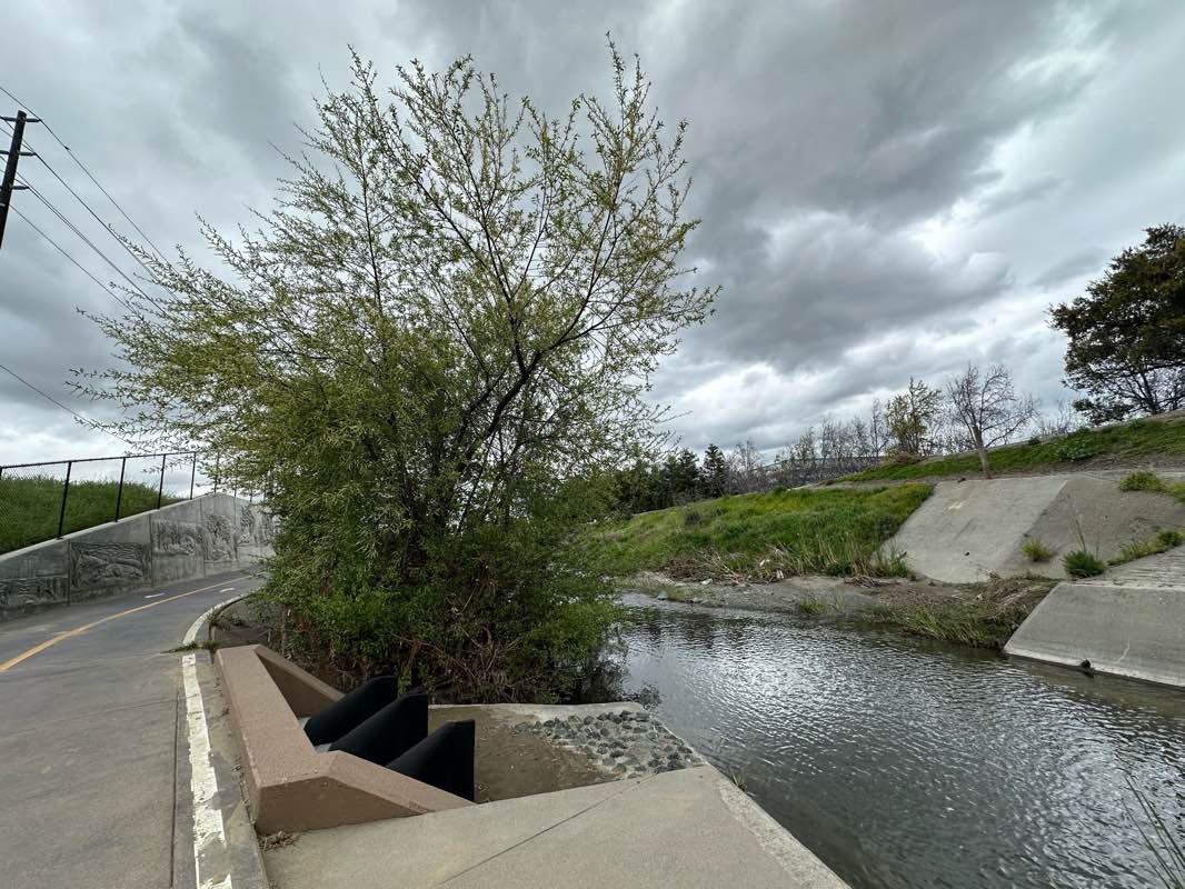 walking near me in Everett N. “Eddie” Souza Park & Community Garden in winter