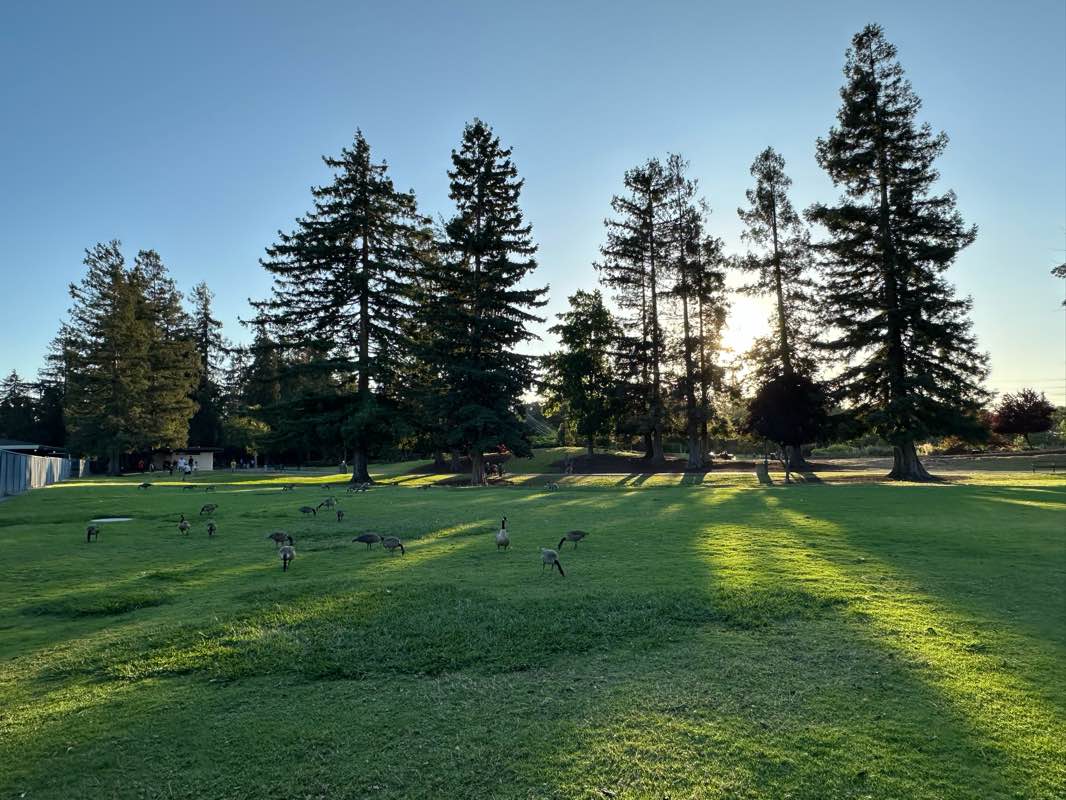 walking near me in Central Park in summer