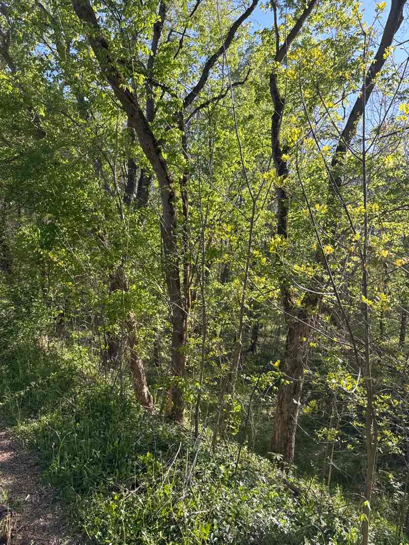 walking near me in Marott Park and Nature Preserve in spring