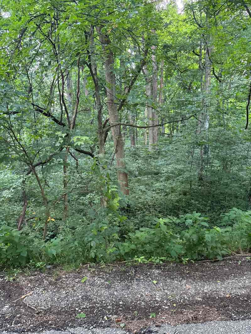 walking near me in Marott Park and Nature Preserve in summer