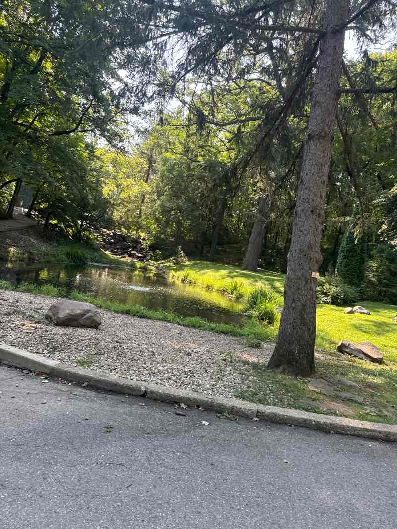 walking near me in Holcomb Gardens in summer
