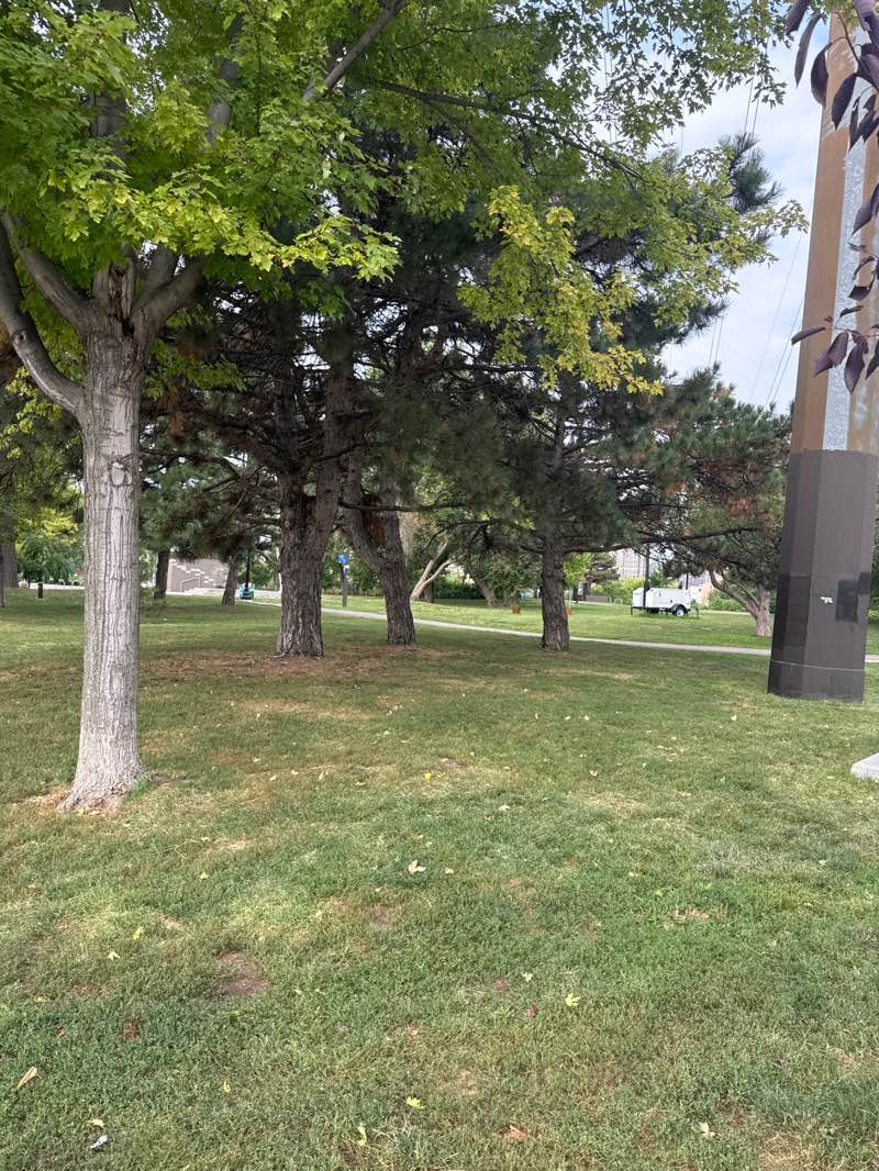 walking near me in Philip W Pillsbury Park in summer