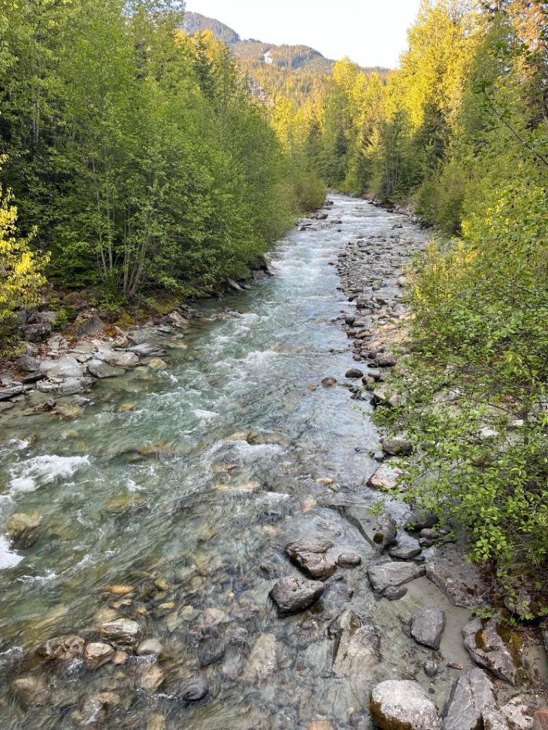 walking near me in Mountain Bike Jump Park in spring