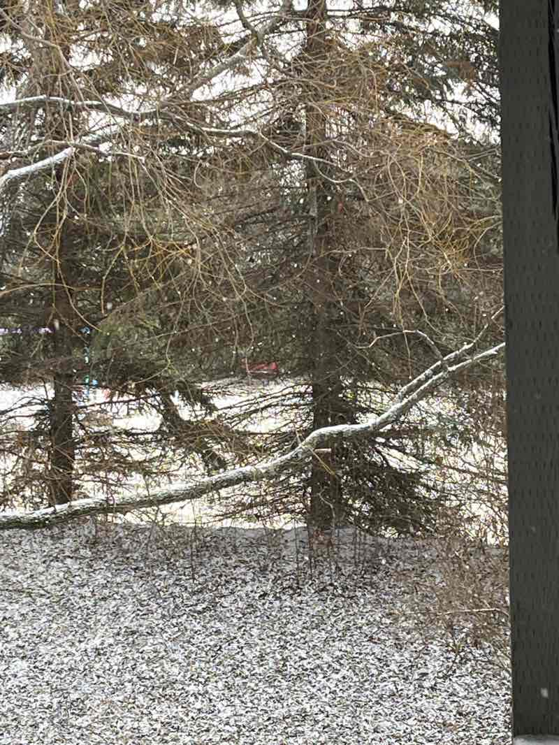 walking near me in Saint Charles Lake Park in autumn