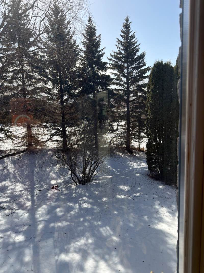 walking near me in Saint Charles Lake Park in spring