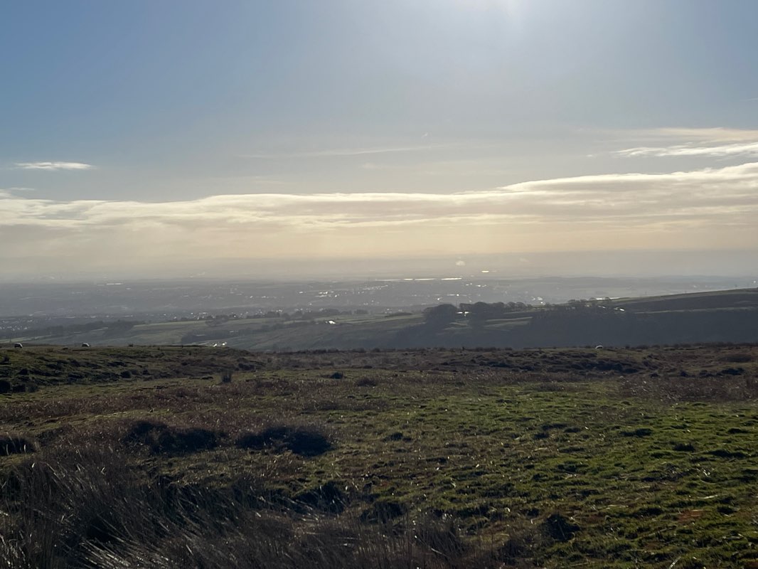 walking near me in Andrew Lane Park in winter