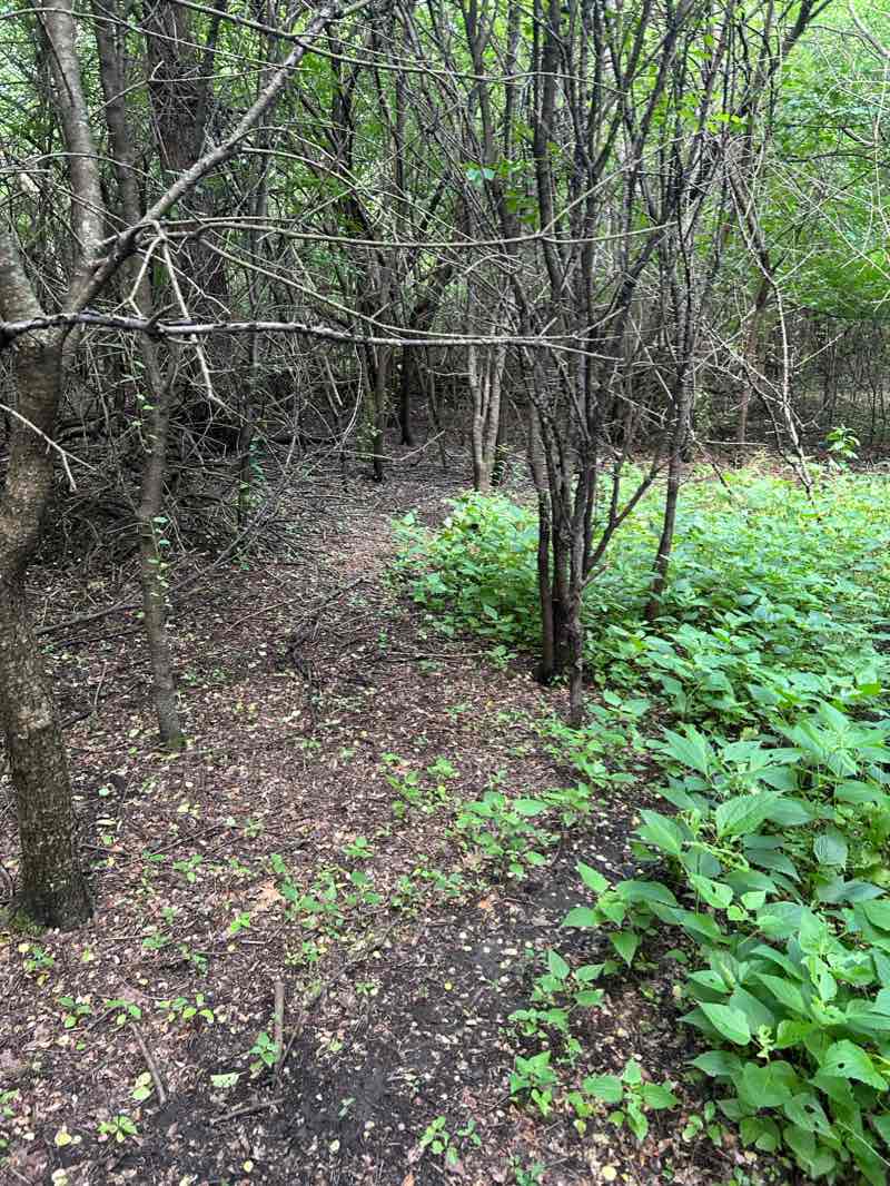 walking near me in Nazos Park in winter