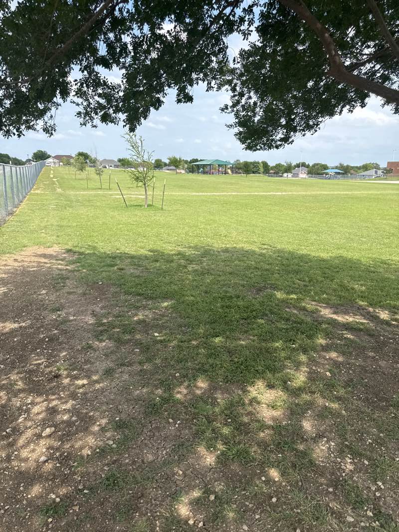 walking near me in Timber Ridge Neighborhood Park in summer