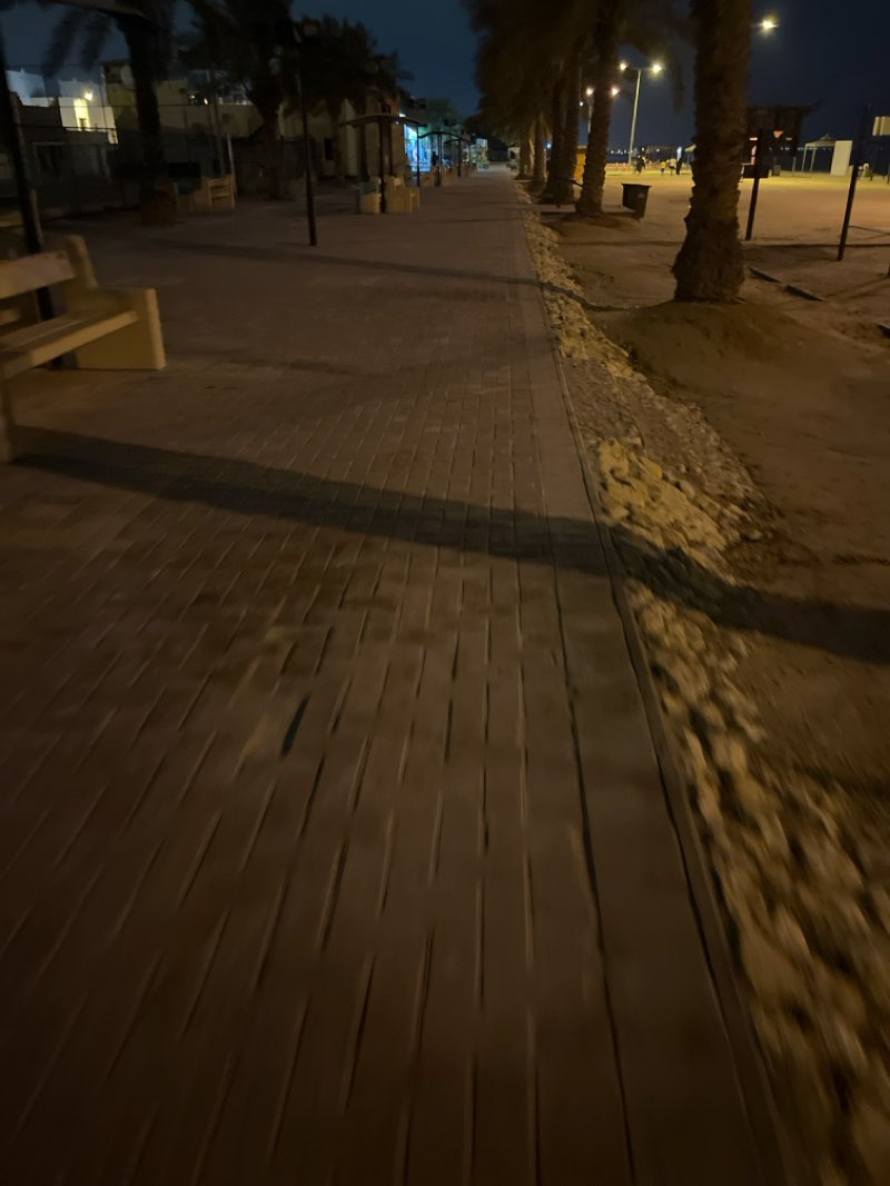 walking near me in Malkiyah Walkway in winter