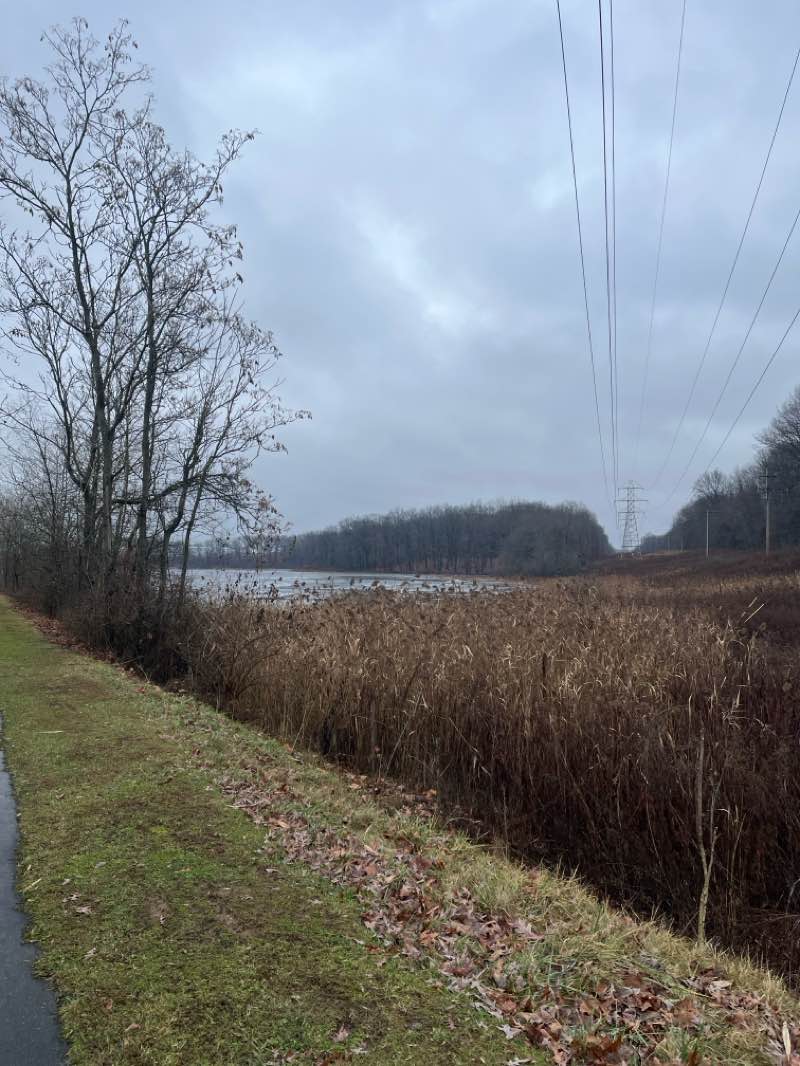 walking near me in Niles Trailhead Park in winter