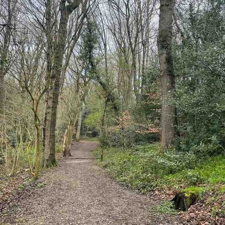 @Thabyashanty post 3