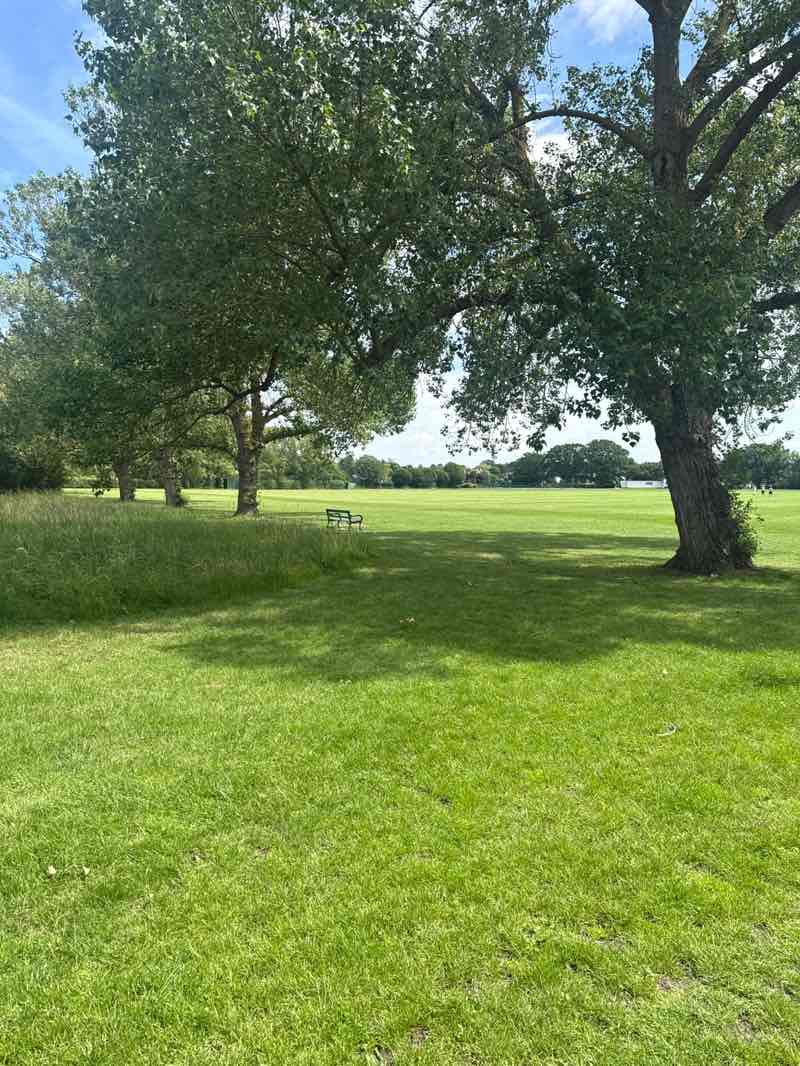 walking near me in Rise Park in summer