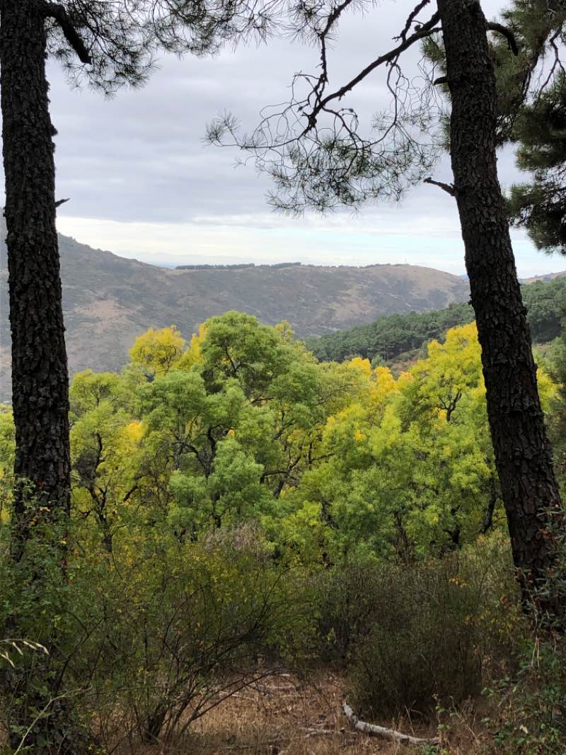 walking near me in Arboreto Luis Ceballos in winter
