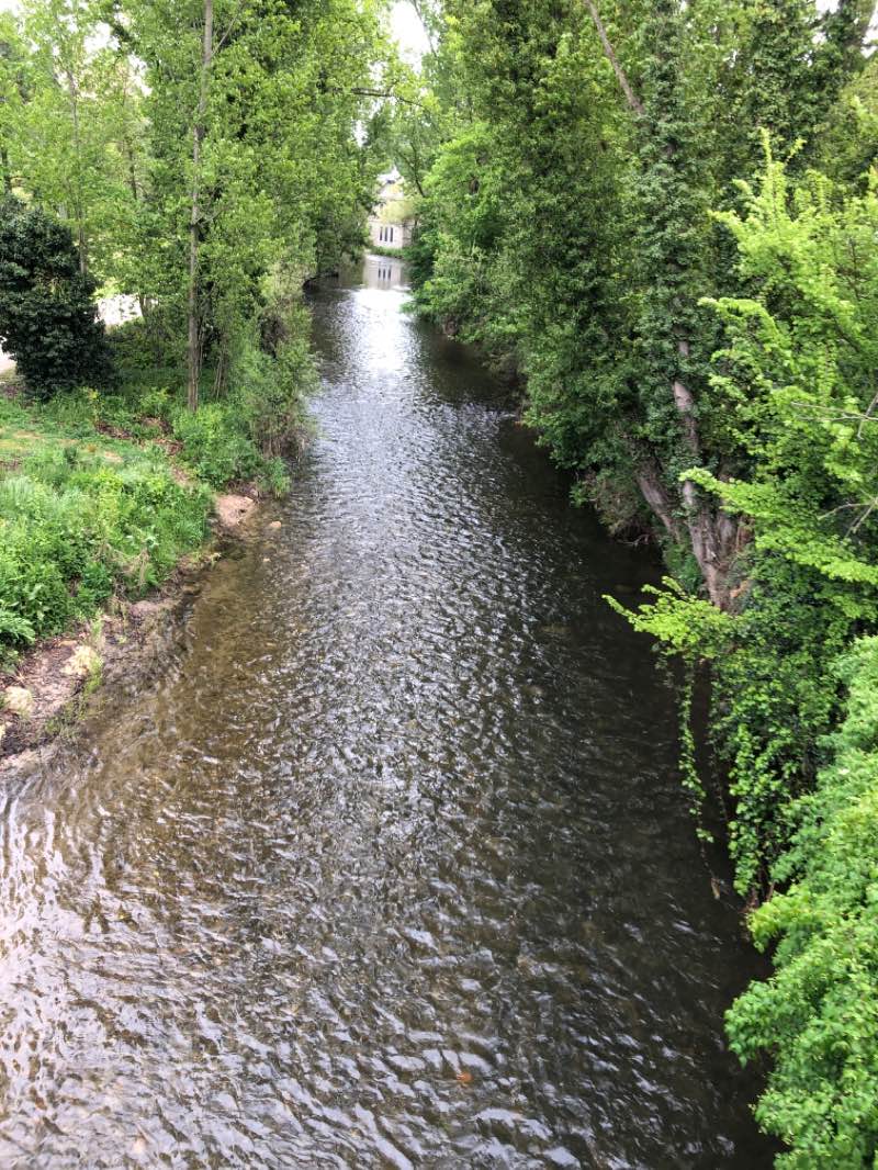 walking near me in Parque Hontanilla in winter