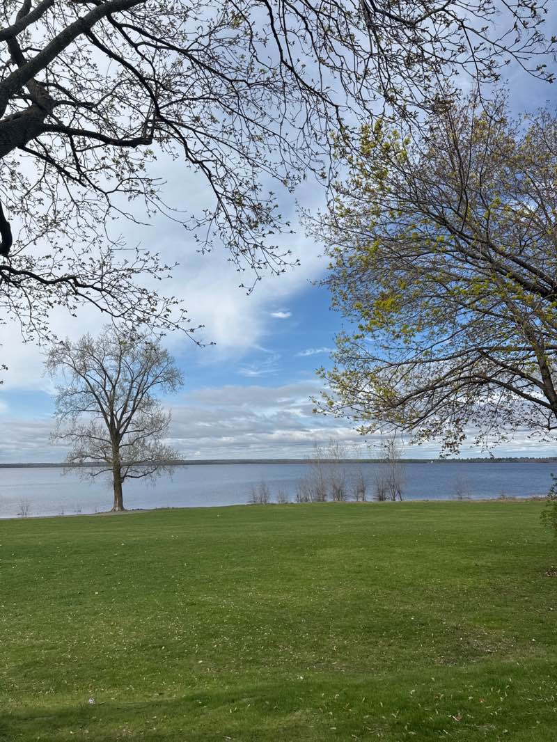 walking near me in Parc des Cèdres in spring