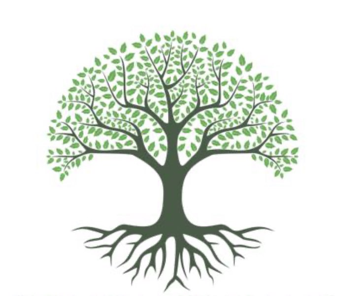 Littletree Big Branches profile