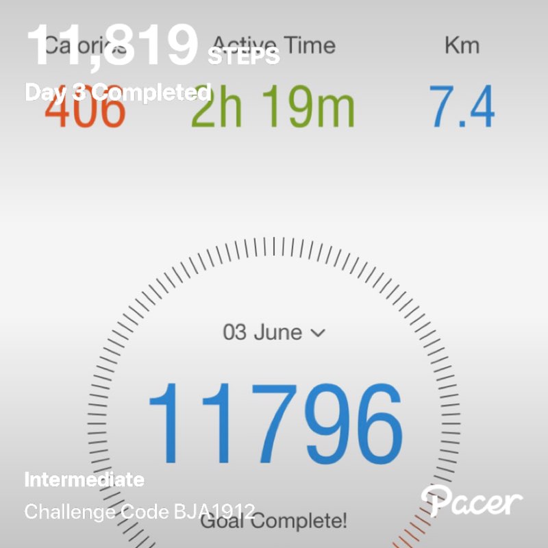 alicenwandaland post 1