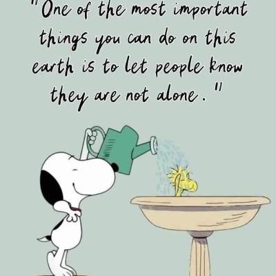 The Easy Walk/Run Club Meher S.N post image