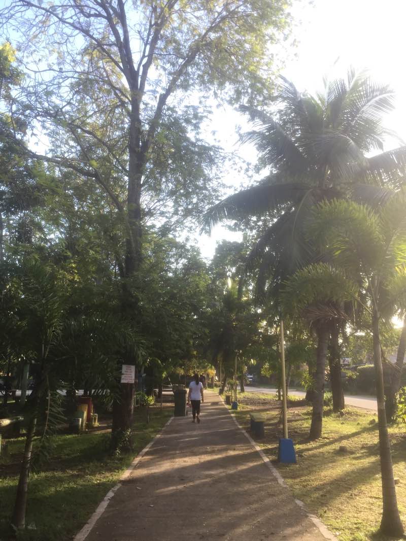 walking near me in Lanzona Subdivision Park in winter