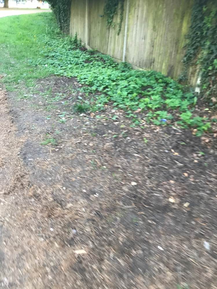 walking near me in The Rye in spring