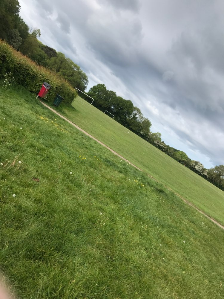 walking near me in Hazlemere Recreation Ground in spring