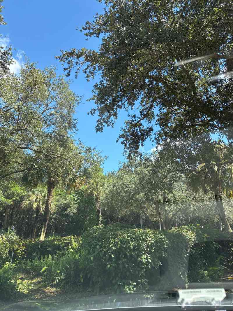 walking near me in Green Cay Nature Center and Wetlands in autumn