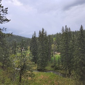 Sarah Hanson profile