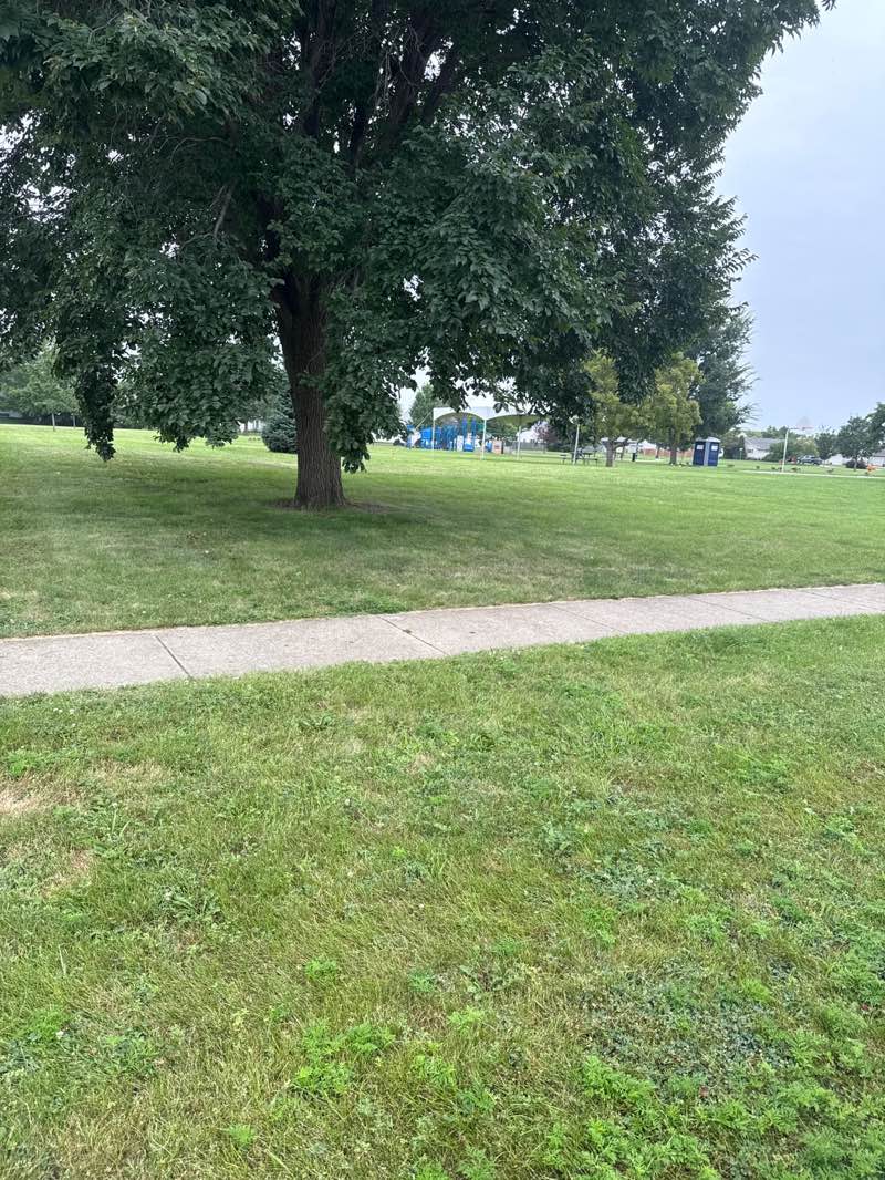 walking near me in Turnberry Ridge Park in summer