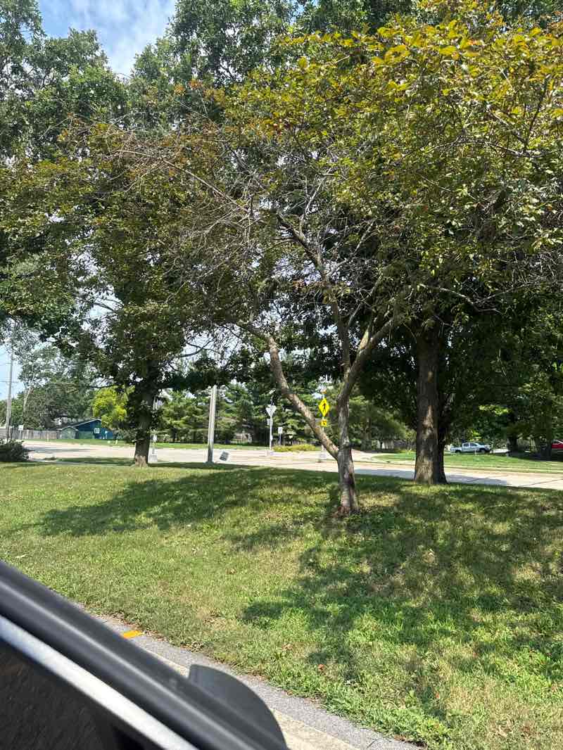 walking near me in Meadowbrook Park in summer