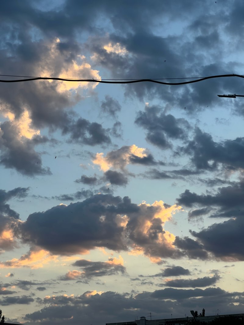 walking near me in Парк им. 200-летия города Буденновска in winter