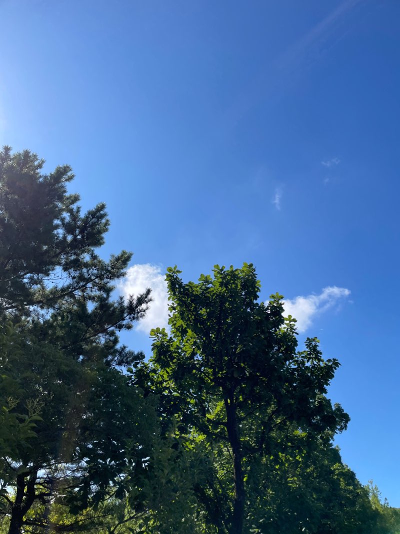 walking near me in 若宮公園 in winter