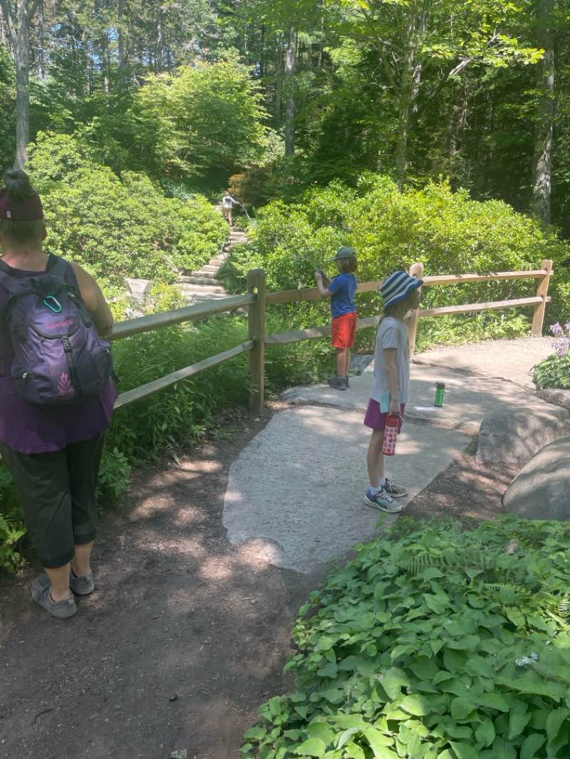 walking near me in Coastal Maine Botanical Garden in summer