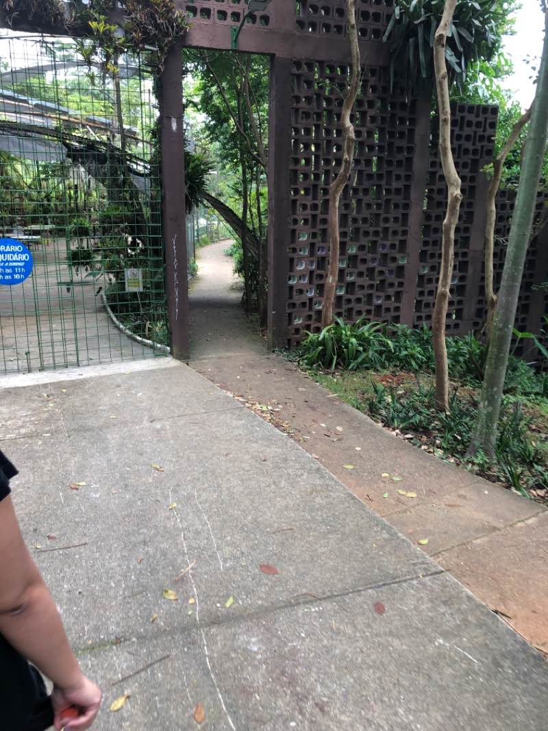 walking near me in Bosque Maia in summer