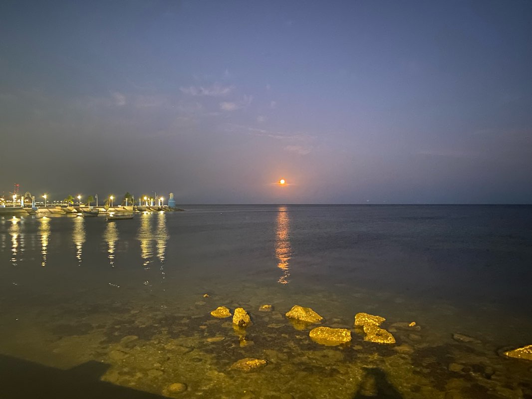 walking near me in Parque Solidaridad Nacional in winter
