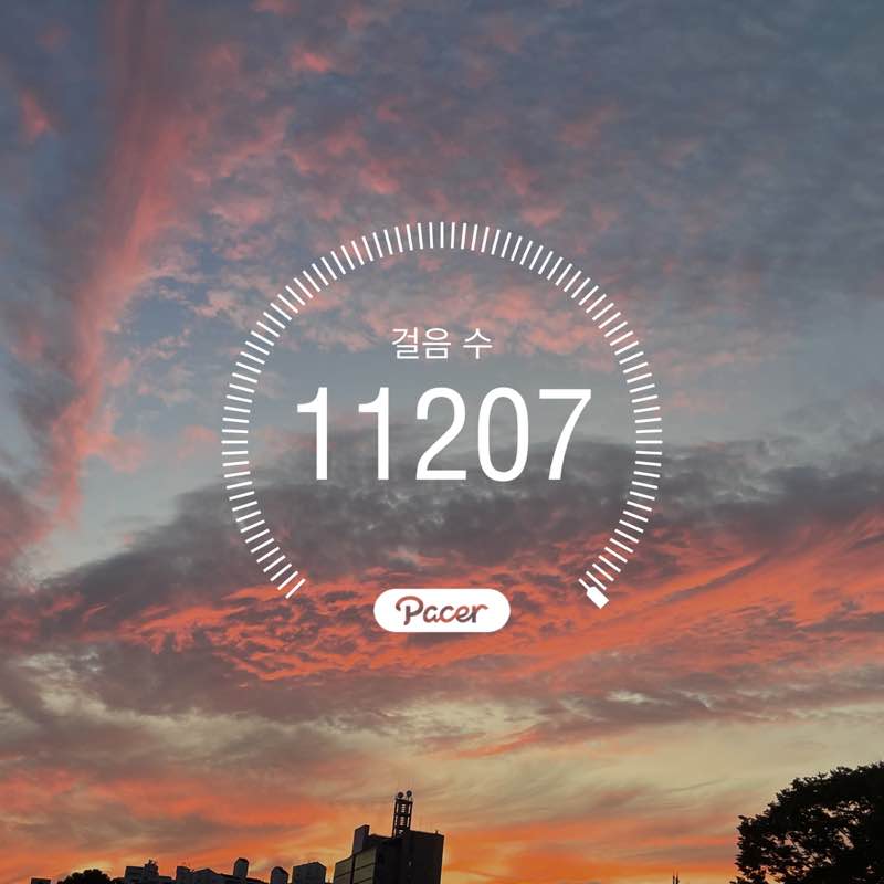 v_suna post 1