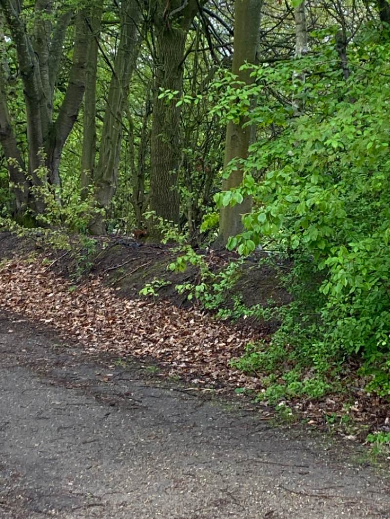 walking near me in Parc Louis Armand in winter