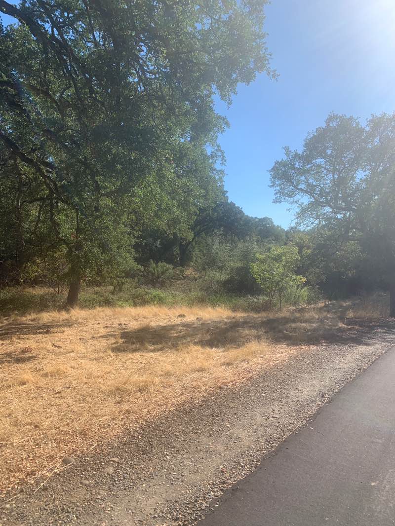 walking near me in Proposed Park in autumn