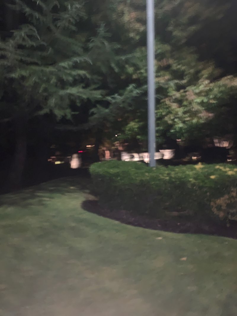 walking near me in Granite Bay Hills Park in autumn