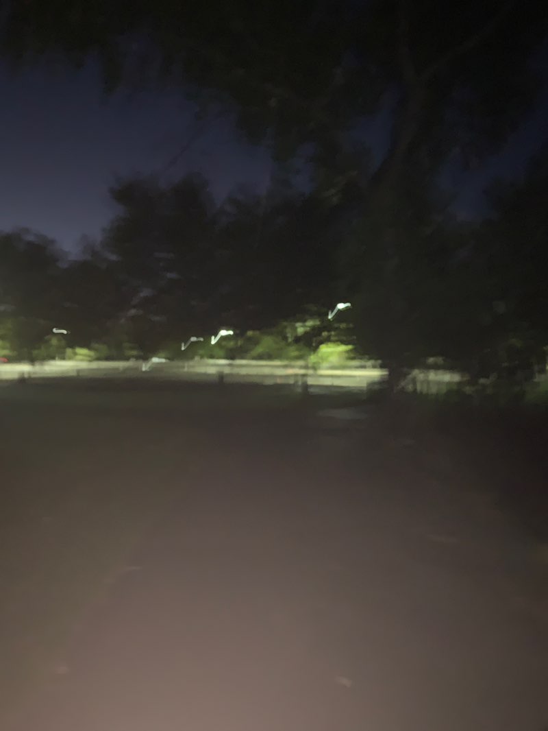 walking near me in Folsom Lake State Recreation Area in autumn