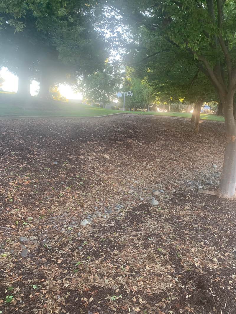 walking near me in Joe Hernandez Park in autumn