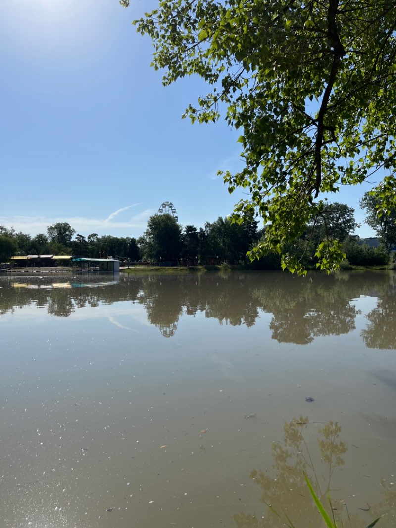 walking near me in Зелёный остров in winter
