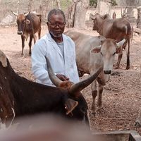 Adewunmi Adesina