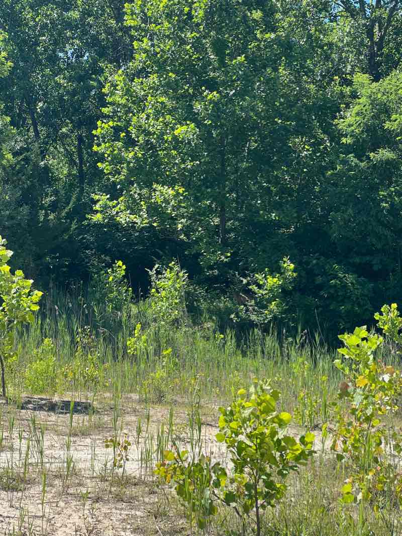 walking near me in Quarry Trails Metro Park in winter