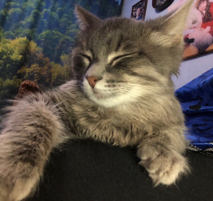 Елизавета profile