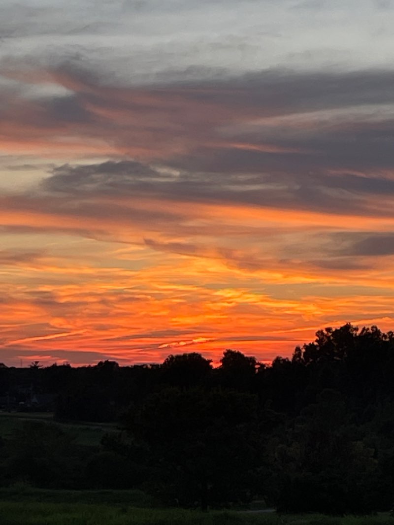 walking near me in St Ellen Mine Park in winter