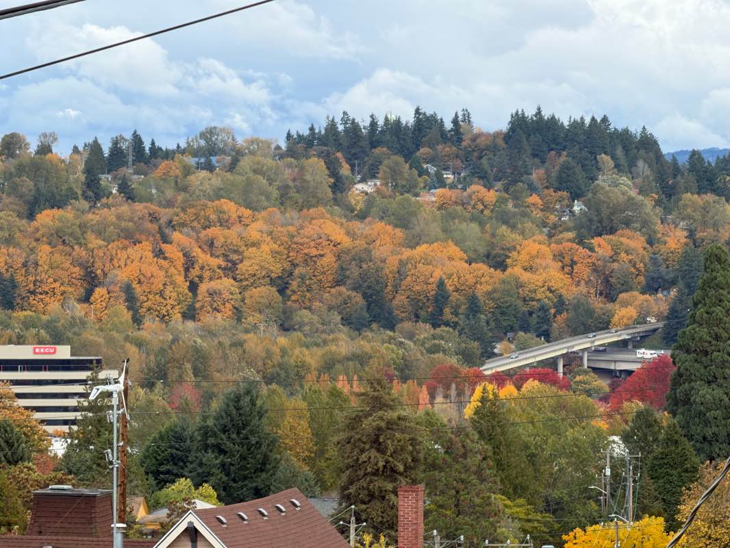 walking near me in Southgate Park in autumn
